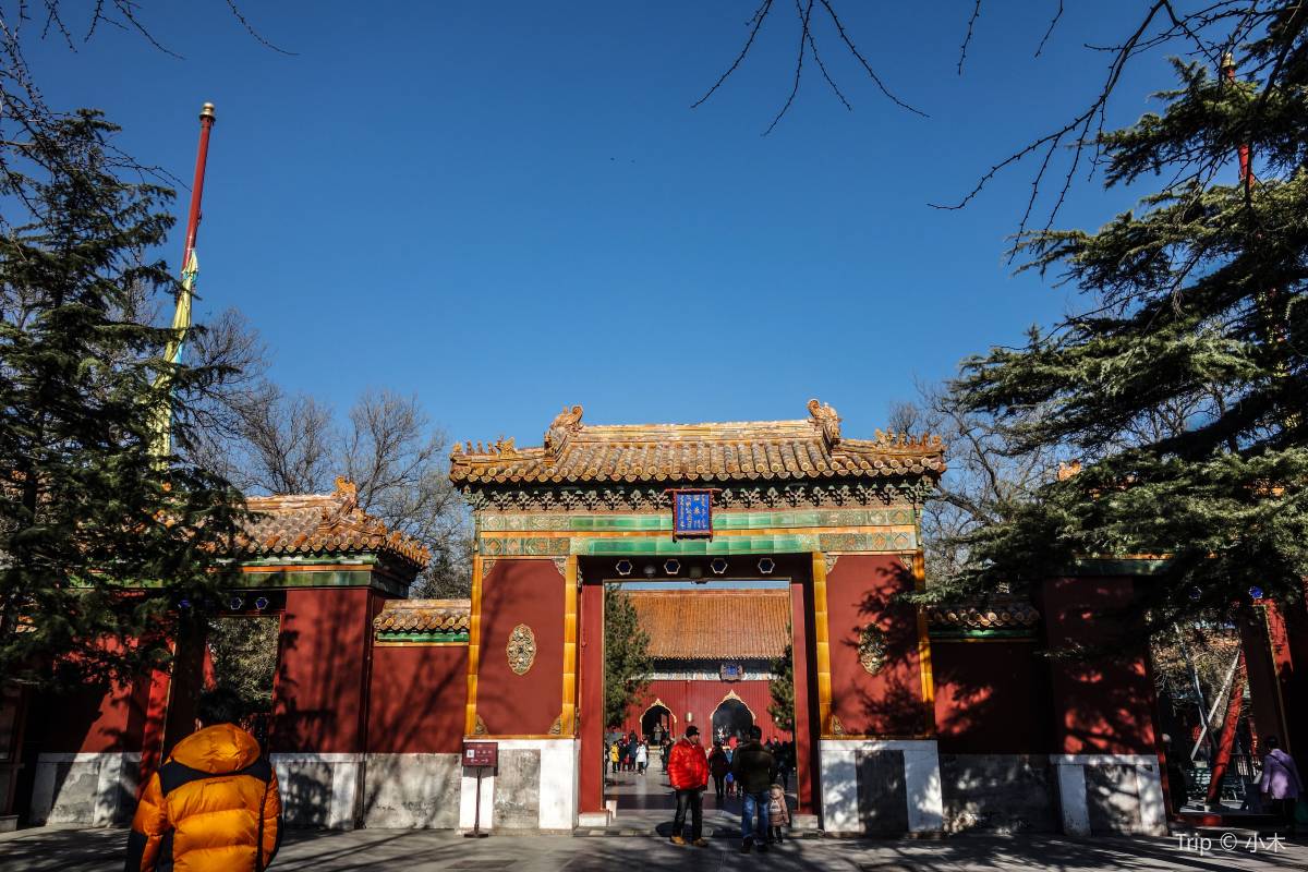 フォルクスワーゲンのヴァナゴンでキャンプをするということ - VWパーツ＆アウトドアGAKUYAオンラインショップ