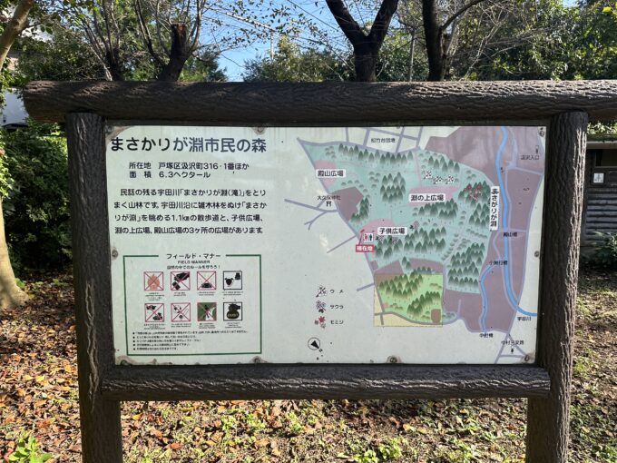 まさかりが淵 - 滝の雫