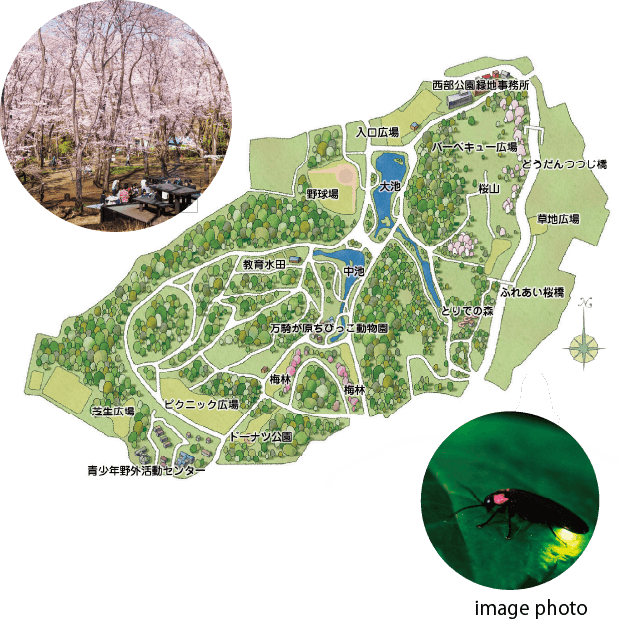 こども自然公園 大池公園 と万騎が原ちびっこ動物園はファミリーにおすすめ