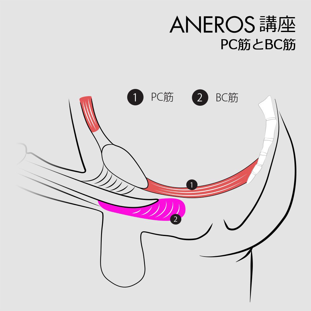 体験談 | アネロスジャパン | ANEROS