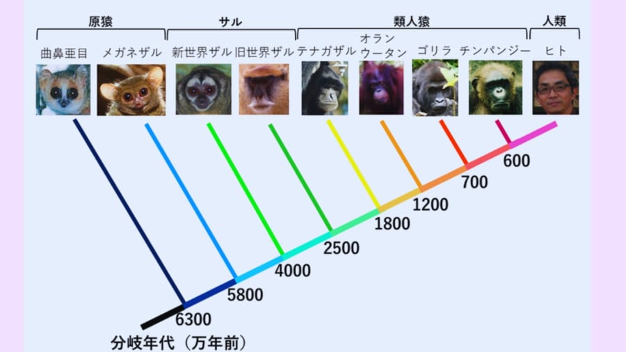 テスト前オナニー やめたい -中2男子です。テスト前なのに、毎日オナニ- その他（性の悩み） |