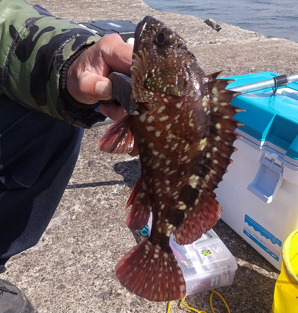 テトラポッド 消波ブロック の釣りが本当は怖くて危険な理由とは？ORETSURI