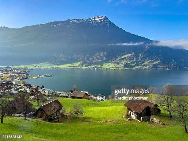 2025 チューリッヒ：湖クルーズ付き 2 時間のガイド付き市内観光ツアー、提供元：Yo Tours