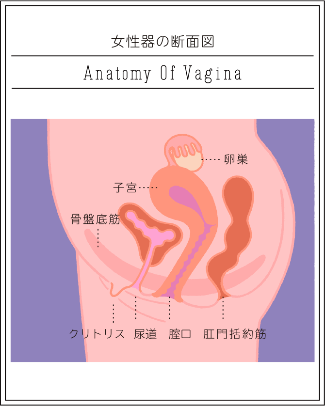 挿れて待つ！15分セックスのやり方 - 夜の保健室