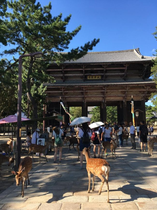 奈良旅8－春日大社と東大寺 - しゃおれんの旅日記