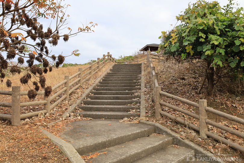 岩崎ノ鼻灯台＠高岡市伏木 富山の穴場的桜のお花見スポット！絶景が一望できる恋する灯台！富山やちゃ