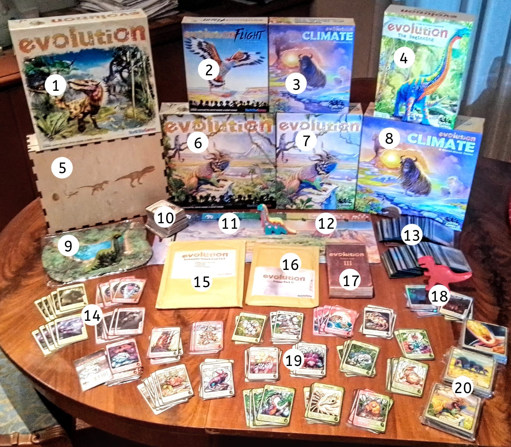 Evolution: 2Nd Edition