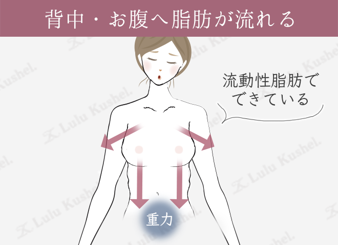 わき肉すっきり若見え印象 もっと背中への胸流れガード ブラジャーの会｜flufeel[フラフィール]｜フェリシモ【公式通販】