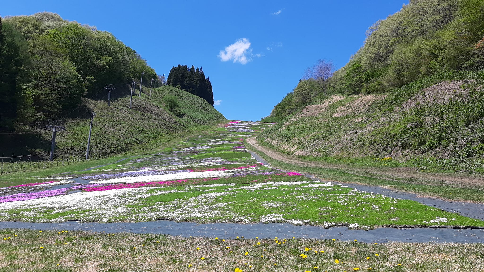 十和田湖温泉スキー場の写真素材 - PIXTA