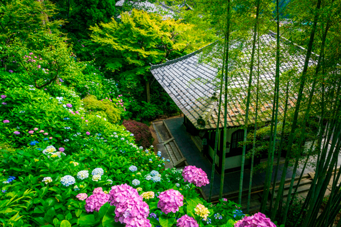 鎌倉観光の定番“鎌倉大仏”を見に行こう！「高徳院」の見どころをチェック♪icotto イコット