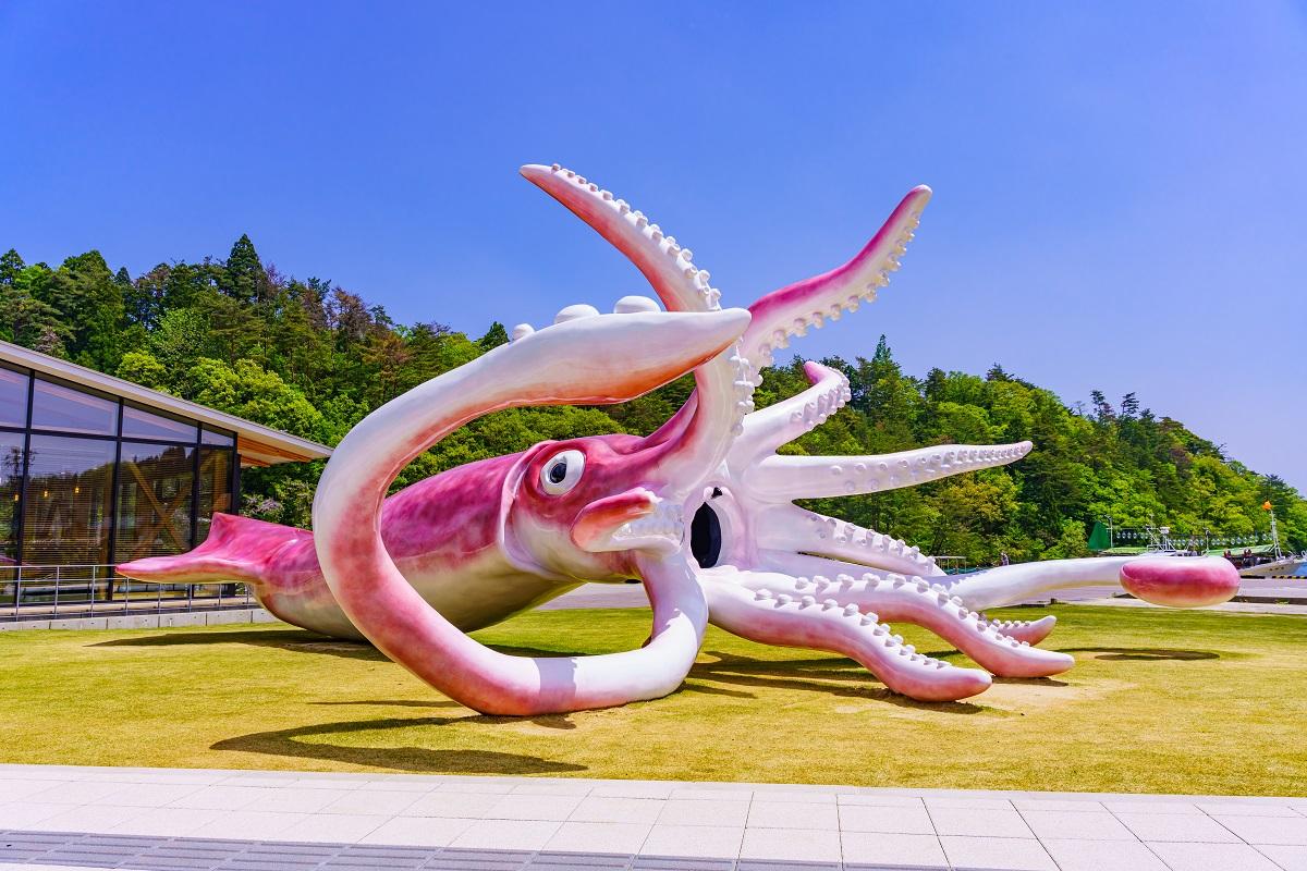 イカキング」って、なんでこんなに大きいんだろう？ 能登半島記者の取材日記「5月10日～16日」：東京新聞デジタル