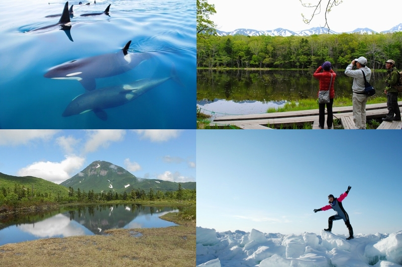 知床国立公園の見どころ22選特集 公式 北海道の観光・旅行情報サイト HOKKAIDO LOVE