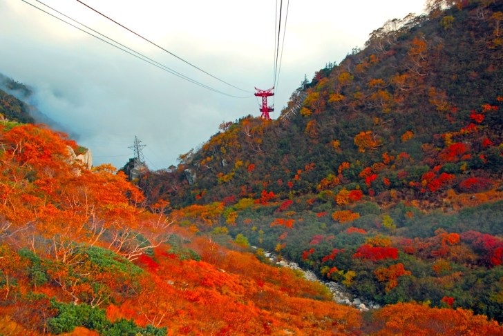 中央アルプス 駒ヶ岳ロープウェイ « 中央アルプス 駒ヶ岳ロープウェイわお!ひろば「わお！マップ」ワクワク、イキイキ、情報ガイド