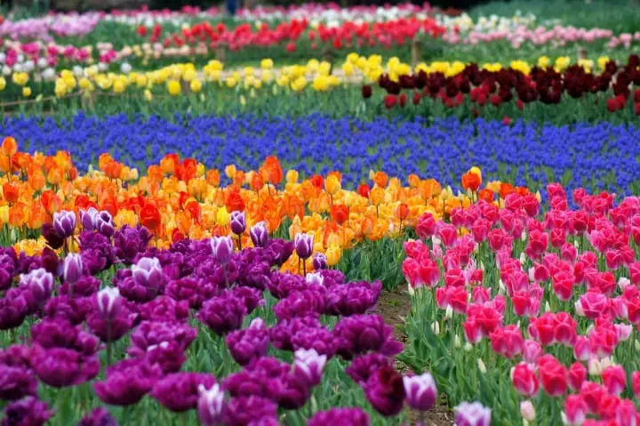 人混みを避けるGWおすすめ穴場スポット7選 関東版