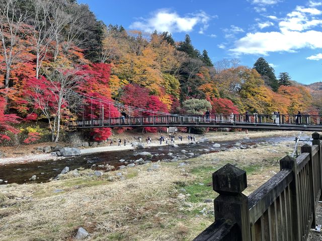 紅の吊橋 観光- 旅案内 たびあん