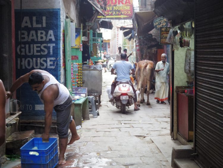 2022.2.26 インドの日本人宿「サンタナデリー」に行く –