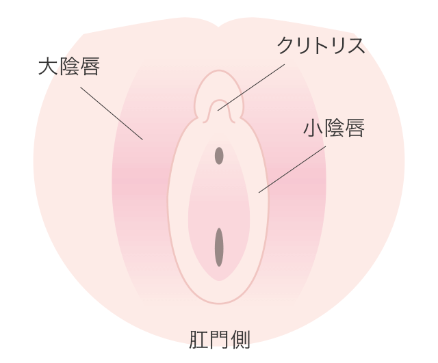 クリトリス包茎だと感じづらい？皮の剥き方 - 夜の保健室