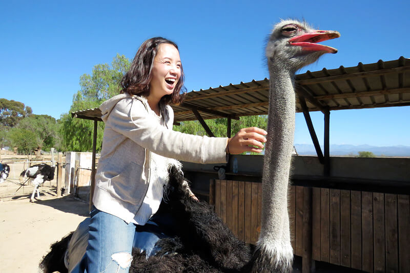 オーツホーンでダチョウに乗ってダッシュ！世界一周フォトたび