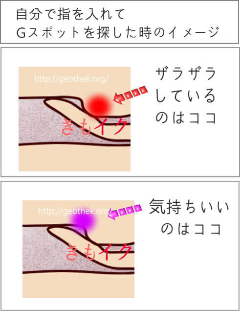 ファーストバイブ 膣トレ Gスポット開発丨大人のおもちゃとアダルトグッズ専門店ワイルドワン