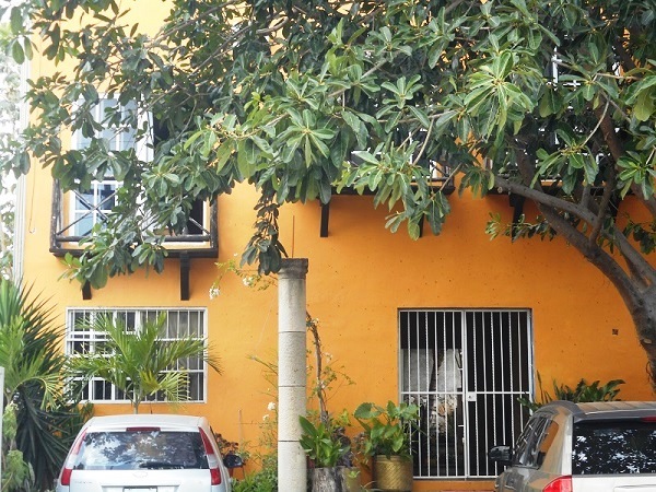 最初の1ヶ月はドイツ語に耳が慣れなくて大変でした！F+U Academy of Languages