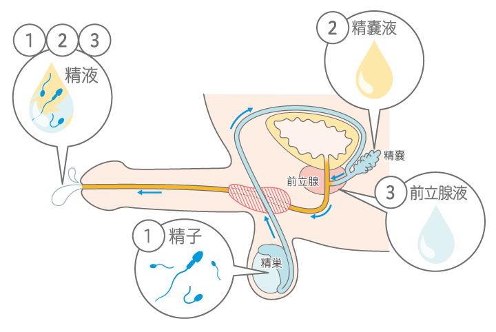 あややとぅーやー on X: 