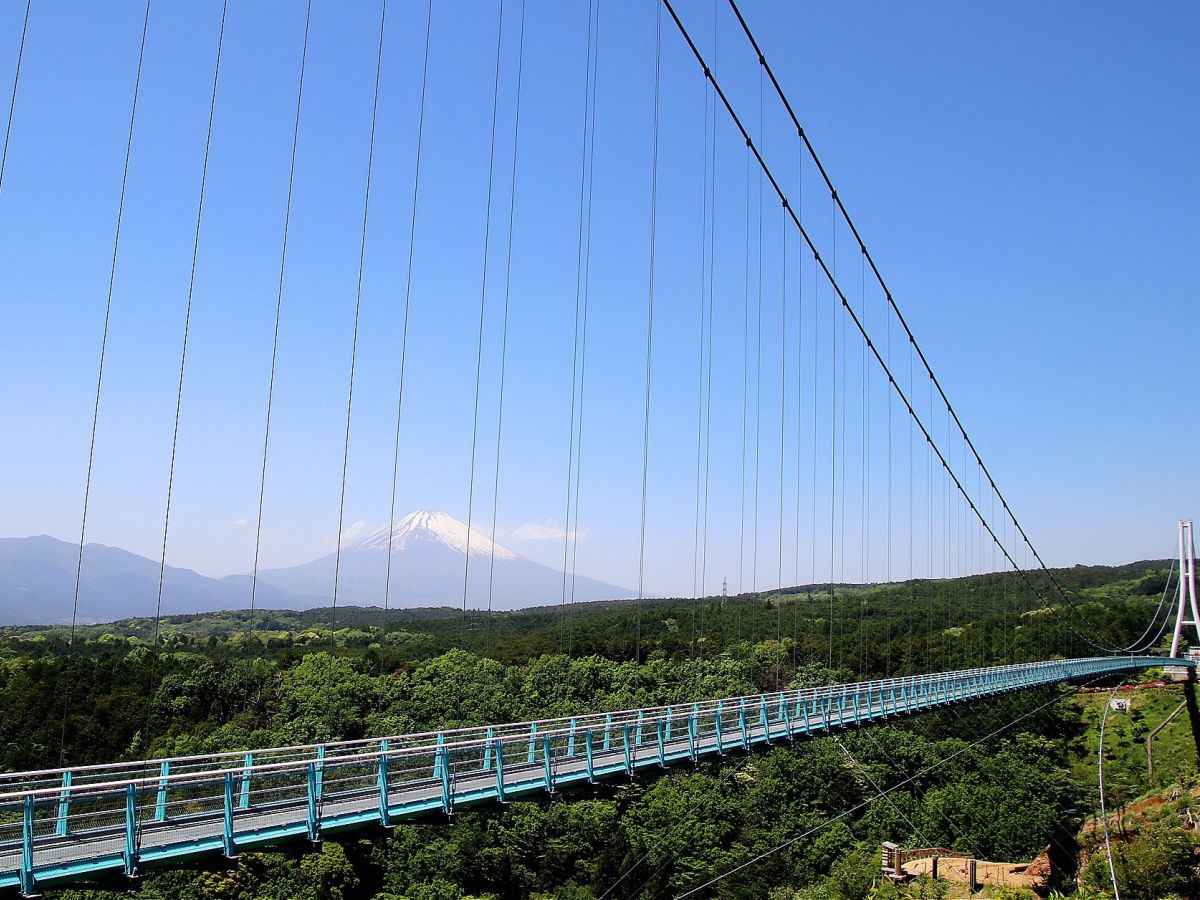 大阪府茨木市を日本一に！日本一のつり橋、アトラクション作りに挑戦 David ScottGP Holdings