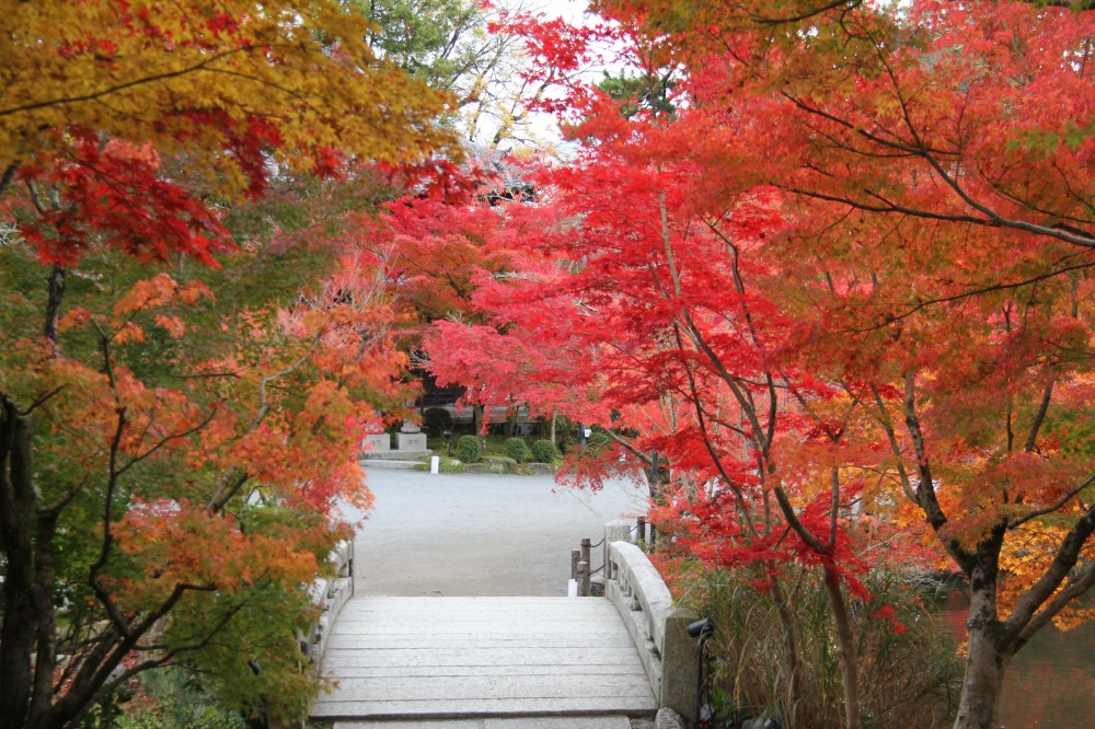 永観堂禅林寺の曲がる階段の写真素材90315149- PIXTA