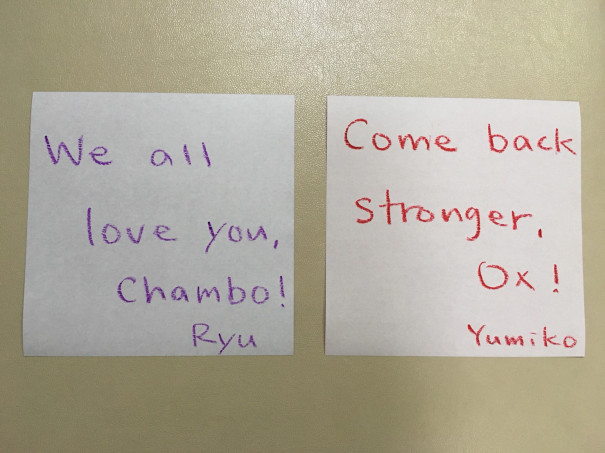 チェンボの回復を願うKOP KIDSたちYUMIKO TAMARUPHOTOGRAPHY &