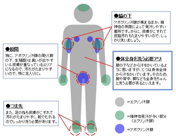 Amazon.co.jp: 医師監修 イケない私が最高に感じるカラダになれた理由