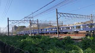 玉川上水沿いに歩きます 駅ぶら04 拝島線07コラム鉄道チャンネル