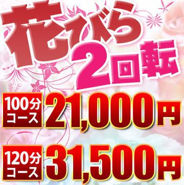 駿河屋 -【アダルト】<中古>集合(9人)/DVD「S1豪華絢爛ドリーム大共演2019 ファン感謝祭!大大大乱交!夢のハーレムソープ !超豪華3本立て伝説の270分」特典生写真（女性生写真）