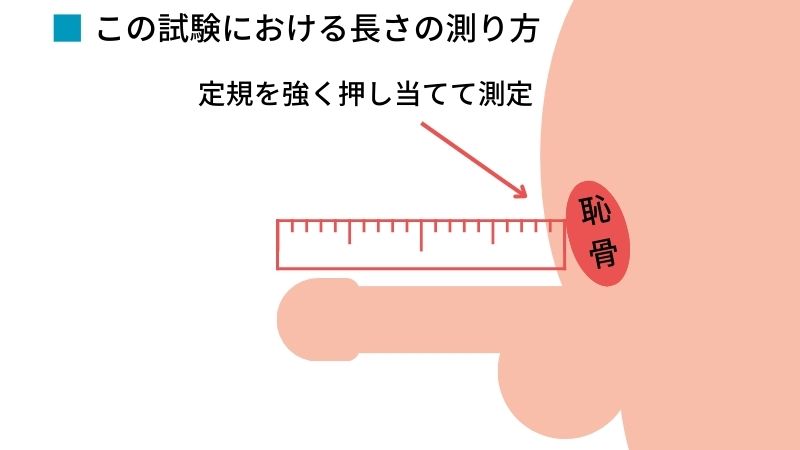 短小包茎とは！短小は何センチから？日本人の平均サイズや治療法 - アトムクリニック