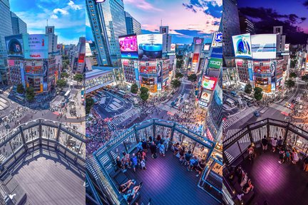 日本武道館 空撮の写真素材 -