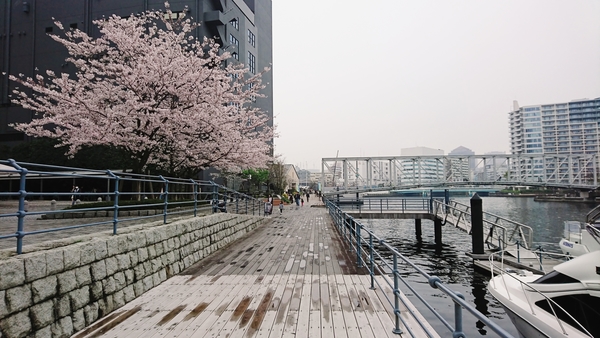 天王洲一般社団法人 日本熱供給事業協会