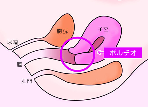 ものすごいイキ方図鑑 - 変態エロBLネット