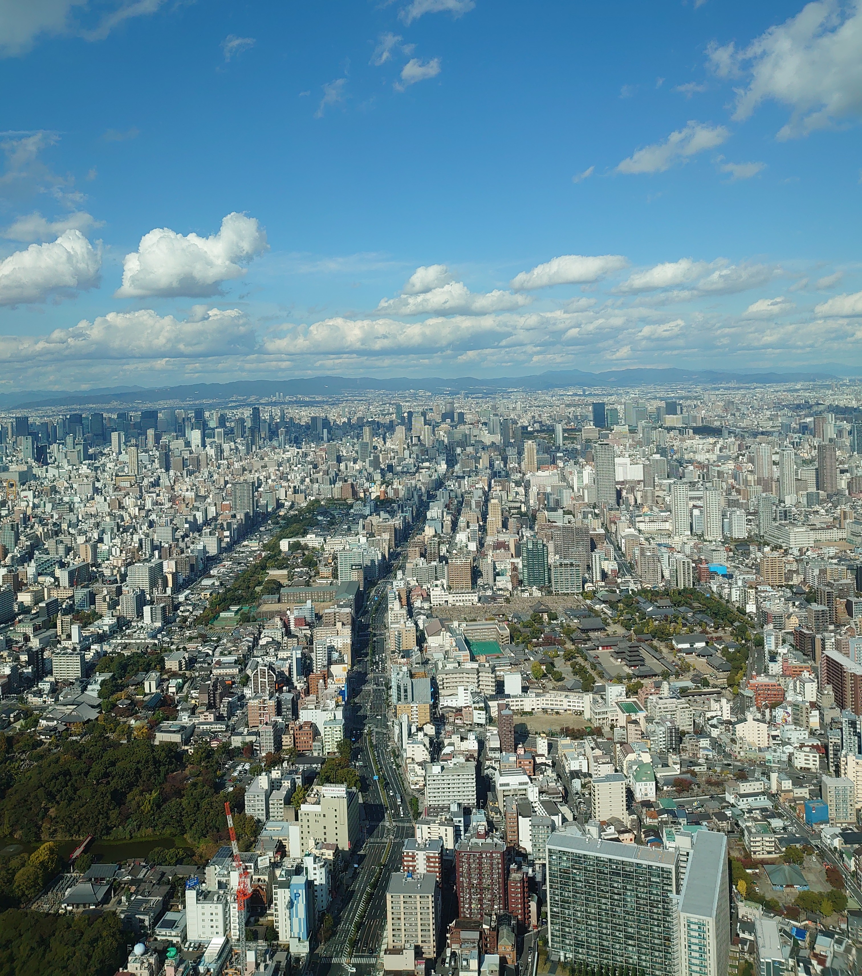 元日本一高いビル『あべのハルカス』地上300メートルで見える幻の通天閣 大東駿介の発見！てくてく学関西のニュースニュース関西テレビ放送 カンテレ