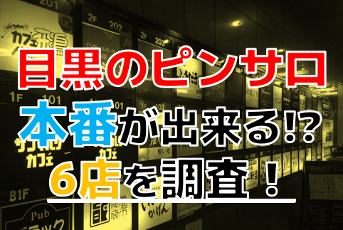 東京・目黒のピンサロを5店舗に厳選！AF・本番濃厚のジャンル別に実体験・裏情報を紹介！ | purozoku[ぷろぞく]