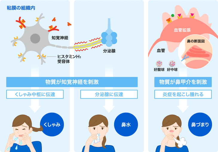 花粉症にはキスが効果的という説も⁉ クスっと笑えてためになる「ヘンな科学」 | ダ・ヴィンチWeb