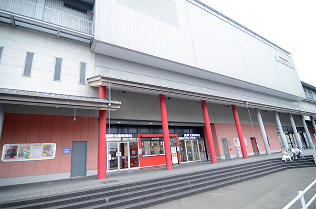 広隆寺 見どころ５選＋１ ～美しき弥勒菩薩像を拝観！きょうこじ