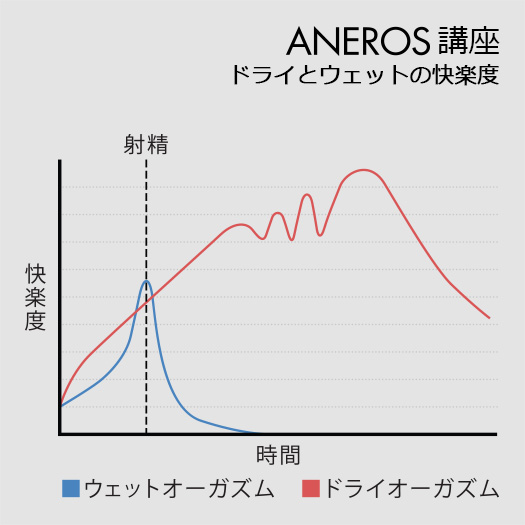 電流○○昇天淫画～伝説のオーガズムファイル～凄まじき絶頂へと誘う恐怖の女体快楽施術 | XCITYでエロ動画を根こそぎ体験しよう！