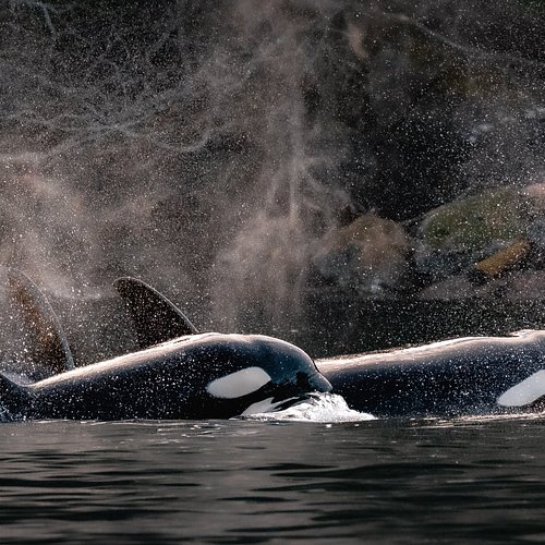 ナナイモ個人旅行ガイド 2025年 ：おすすめの周辺アクティビティ、人気観光スポット、旅程の計画、宿泊施設、グルメ、交通機関、天気など、旅行に必要な情報が満載 2025年10月更新Trip.com