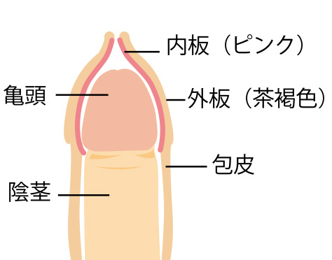 19歳のイケメンノンケが真性包茎のちんこをシゴいて発射♪ - FC2動画アダルト