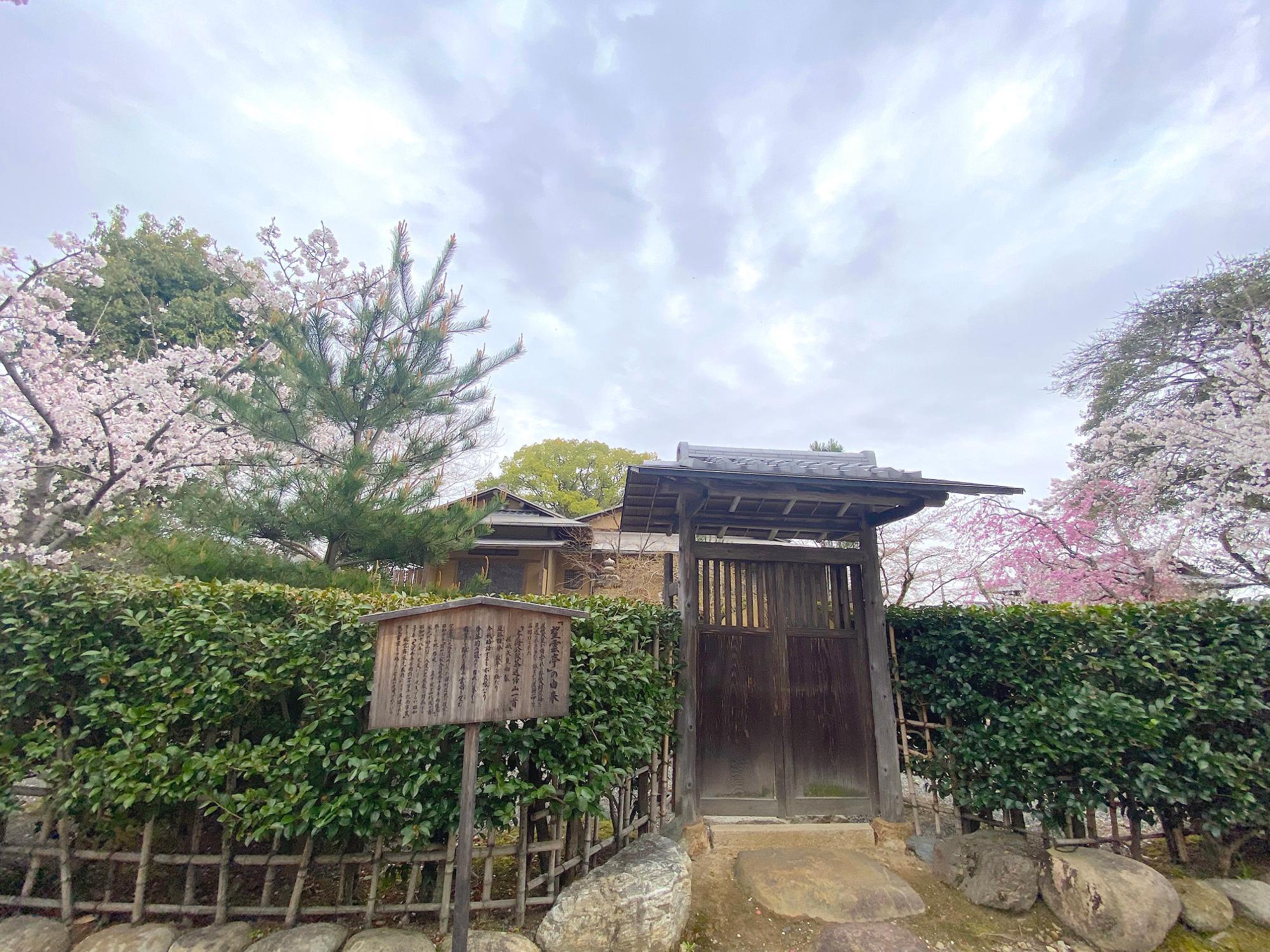 時代劇の風景 ロケ地探訪 大覚寺 放生池