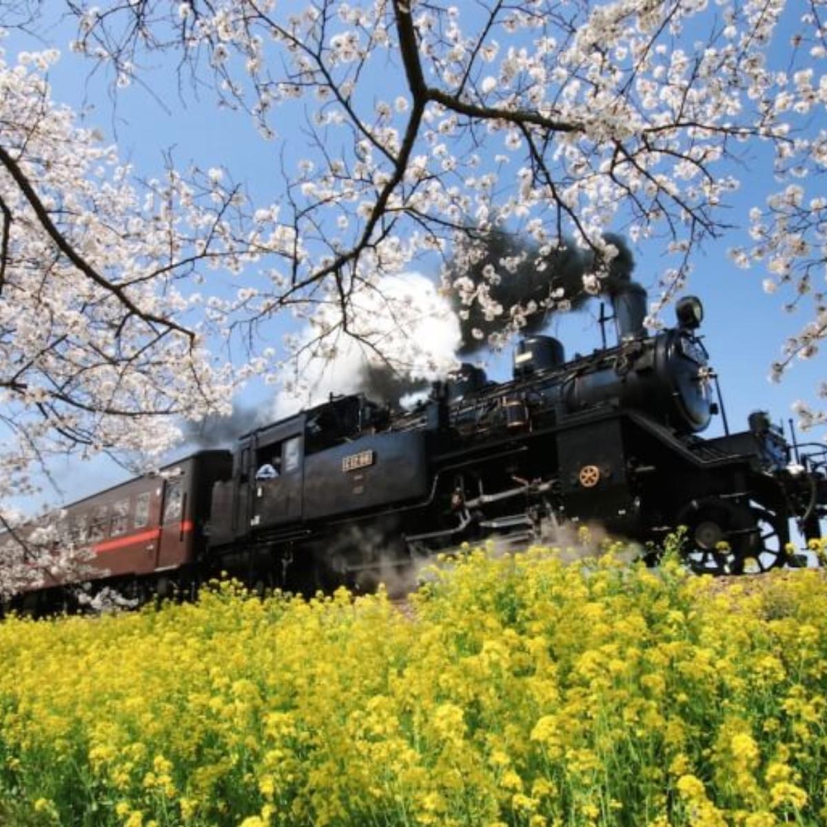 益子駅 路線図・路線一覧レイルラボ RailLab