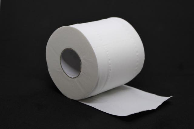 ISSEIKI GOODS DECORA-2 TOILET PAPER