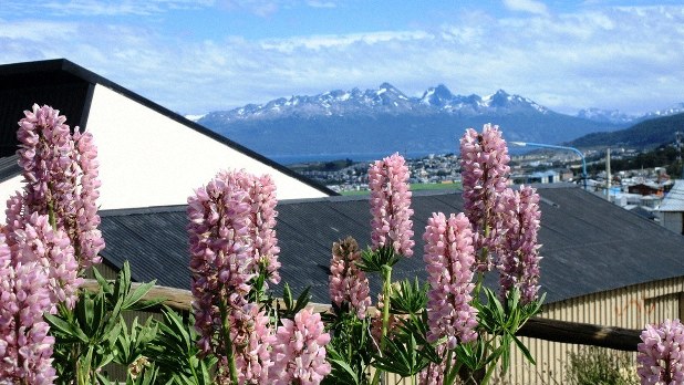 これが世界最南端都市プンタ・アレーナスだ！』プンタ・アレーナス チリ の旅行記・ブログ by 佐吉さん