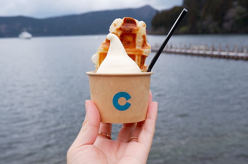 元箱根港と富士山 芦ノ湖 鳥居、写真スポット 行き方 駐車場