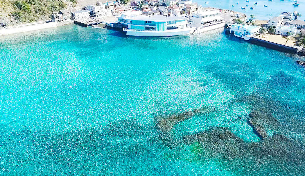 OGI FARM@ogifarm_• Instagram