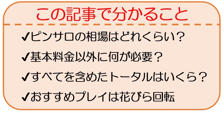 ピンサロの値段は？相場や遊び方、他風俗ジャンルの値段と徹底比較！ | purozoku[ぷろぞく]