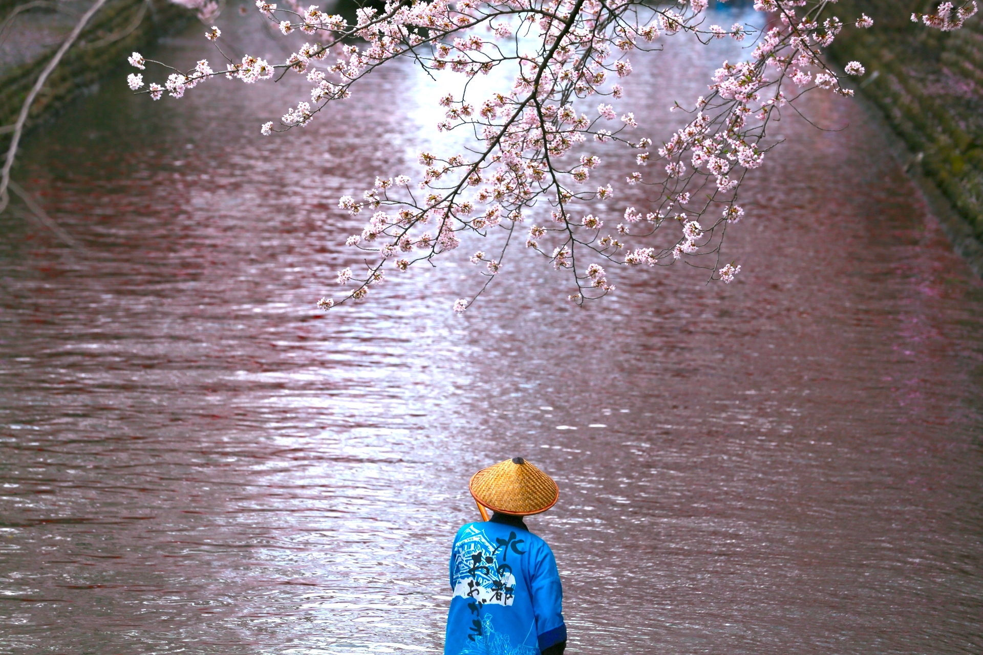 水の都おおがきクラウドファンディング！ 『水都大垣を訪れた方へ 市の最新情報を発信したい！』